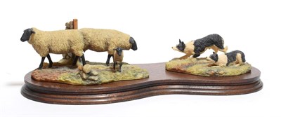 Lot 134 - Border Fine Arts 'Suffolk Ewes and Collies', model No. 101 by Ray Ayres, on wood base