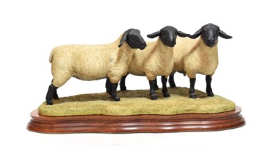 Lot 136 - Border Fine Arts 'Suffolk Family Group' (Ram with Gimmer and Ewe Lambs), model No. B0197 by Ray...