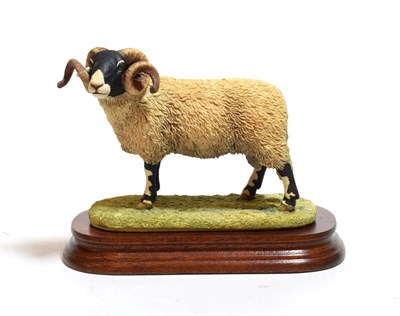 Lot 138 - Border Fine Arts 'Swaledale Tup' (The Monarch of the Dales), model No. L148 by Ray Ayres,...