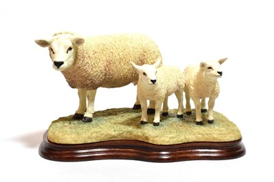 Lot 141 - Border Fine Arts 'Texel Ewe and Lambs' (Style Two), model No. B0658, limited edition 708/1500,...