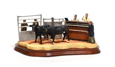Lot 156 - Border Fine Arts 'Under the Hammer' (Limousin Cross), model No. B0666A by Kirsty Armstrong, limited