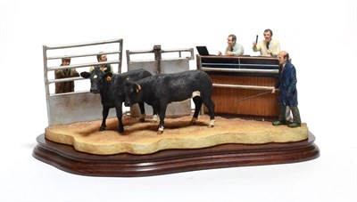 Lot 157 - Border Fine Arts 'Under the Hammer' (Limousin Cross), model No. B0666A by Kirsty Armstrong, limited
