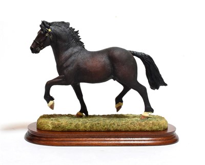 Lot 160 - Border Fine Arts 'Welsh Cob Stallion', model No. B0240B by Anne Wall, limited edition 1083/1250, on