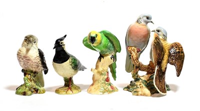 Lot 172 - Beswick Birds Comprising: Lapwing, first version, model No. 2416A, black, dark green and white...