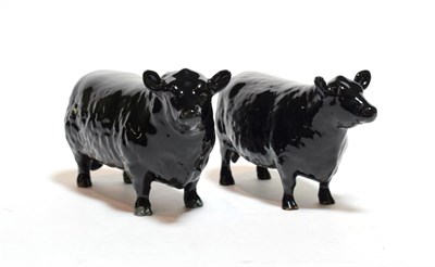 Lot 174 - Beswick Cattle Comprising: Aberdeen Angus Bull, model No. 1562 and Aberdeen Angus Cow, model...