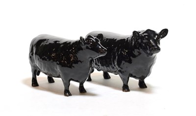 Lot 175 - Beswick Cattle Comprising: Aberdeen Angus Bull, model No. 1562 and Aberdeen Angus Cow, model...