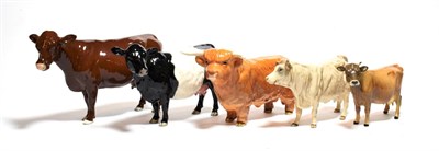 Lot 176 - Beswick Cattle Comprising: Belted Galloway Cow, model No. 4113A, Charolais Cow, model No....
