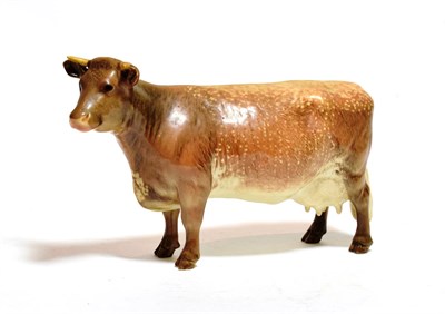 Lot 186 - Beswick Dairy Shorthorn Cow Ch. ''Eaton Wild Eyes 91st'', model No. 1510, brown and white with...