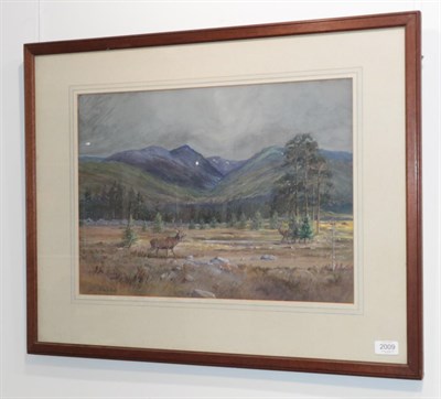 Lot 2009 - Harold Frank Wallace (1881-1962) Two stags in a pine wood with a view of the Lairig Ghru from...
