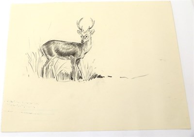 Lot 2013 - Eileen Alice Soper (1905-1990) ''Captive Fox''  Inscribed, pencil, together with five further...