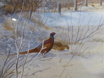 Lot 2014 - Philip Rickman (1891-1982) Pheasants in the snow Signed, watercolour, 36cm by 53cm  Artist's Resale