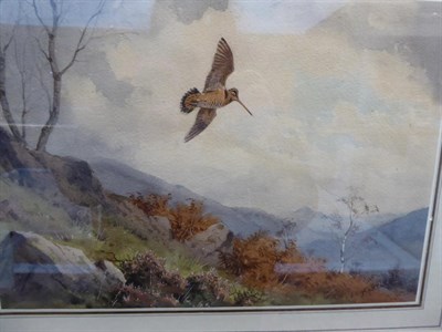 Lot 2024 - John Cyril Harrison (1898-1985)  Woodcock over bracken Signed, watercolour, 22.5cm by 32cm...