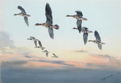 Lot 2025 - John Cyril Harrison (1898-1985)  Geese at sunset  Signed, watercolour, 22.5cm by 32.5cm...