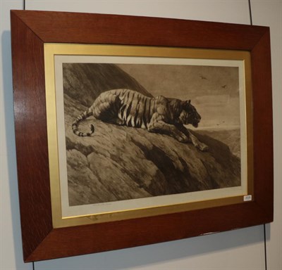 Lot 2028 - After Herbert Dicksee (1862-1942) Tiger Signed and dated 1900, etching, 52.5cm by 73.5cm