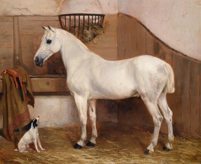 Lot 2038 - Anthony de Bree (1855-1921) Portrait of a grey horse 'Faithful servant Charlie' Signed and...