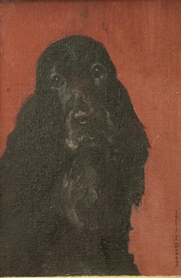 Lot 2056 - Jessie I Dunlop (1902-1970) Scottish Show Spaniel  Signed, oil on canvas, 29.5cm by 19.5cm...