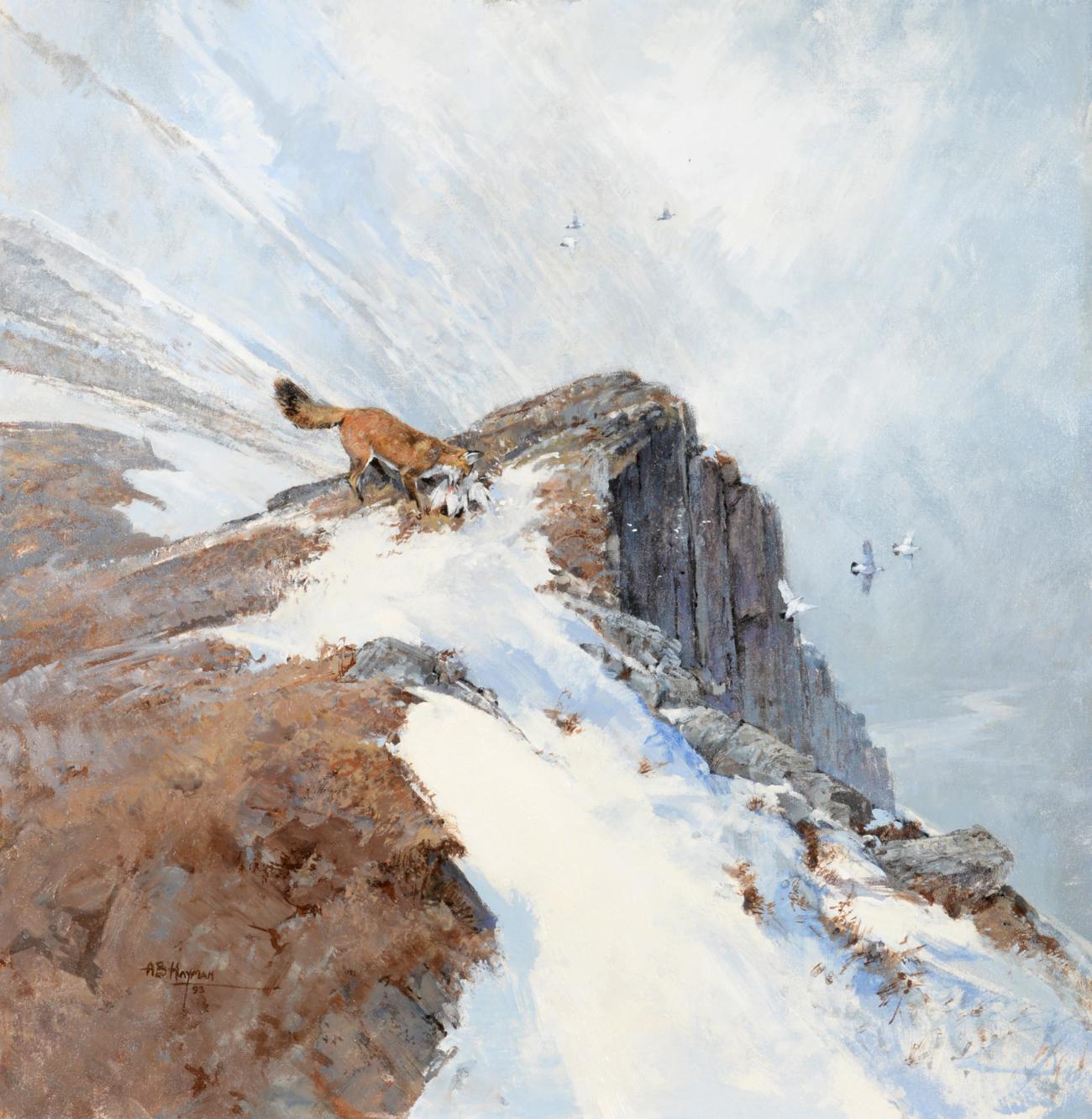 Lot 2069 - Alan B. Hayman (b.1947) Fox on mountainside  Signed, oil on canvas board, 76cm by 71cm...