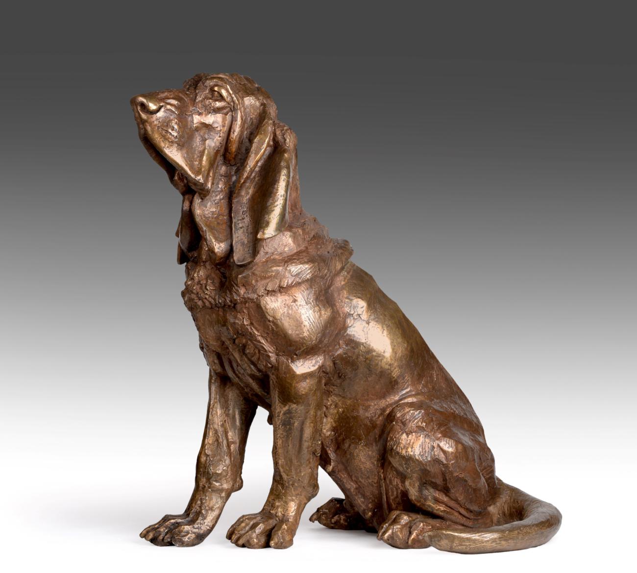 Lot 2076 - Sally Arnup FRBS, ARCA (1930-2015) ''Seated Bloodhound'' Signed and numbered V/X, bronze, 54cm high