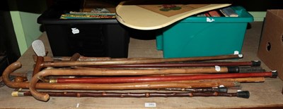 Lot 380 - Walking sticks and a quantity of annuals