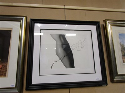 Lot 1001 - John Swannell (b.1946)  ''Nude and Twig, 1991'' Signed and numbered 6/295, giclee on paper,...