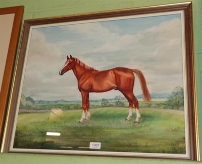 Lot 1067 - Vaux, D.S., A portrait of a horse, possibly a Welsh Cob, 1974, watercolour, framed and glazed.