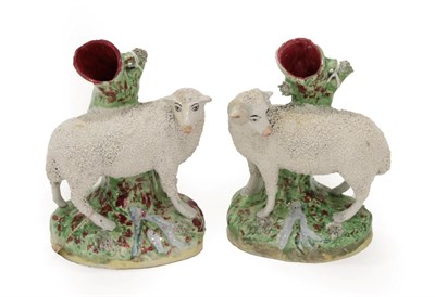 Lot 1062 - A Large Pair of Staffordshire Pottery Spill Vases, mid 19th century, modelled as sheep standing...
