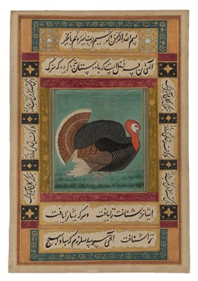 Lot 185 - Qajar (19th century) Study of a turkey cock within a border of calligraphy and foliate borders...
