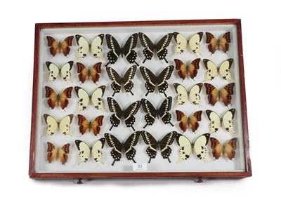 Lot 33 - Entomology: A Large Glazed of Display of African Butterflies, circa 21st century, containing...