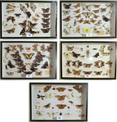 Lot 86 - Entomology: A Collection of European Butterflies, circa 1984-1990, approximately 115 mixed...