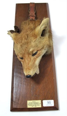 Lot 90 - Taxidermy: Red Fox Death Mask (Vulpes vulpes), circa 09/01/1925, by Peter Spicer & Sons,...