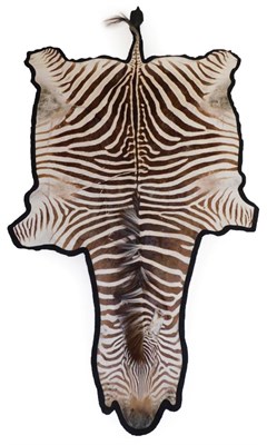 Lot 179 - Taxidermy: Burchell's Zebra Flat Skin Rug (Equus quagga), circa late 20th century, a full flat skin