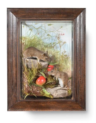 Lot 219 - Taxidermy: A Wall Cased Pair of Long-Tailed Field Mice, circa 2009, by A.J. Armitstead, Taxidermist