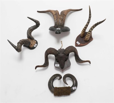 Lot 226 - Antlers/Horns: A Quantity of European and African Horns, circa 1900, to include: Ram horns on...