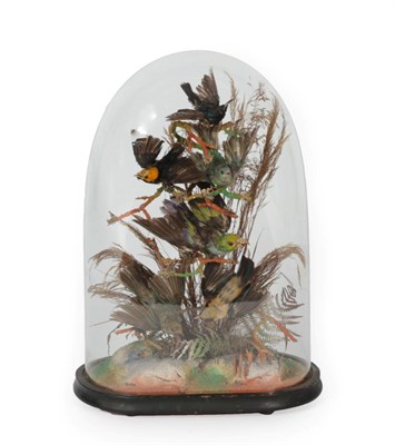 Lot 253 - Taxidermy: A Victorian Diorama of Tropical Birds, circa 1880-1900, a collection of six various...
