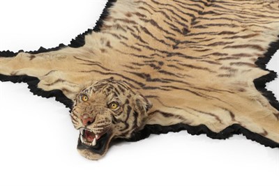 Lot 268 - Taxidermy: Indian Tiger Skin (Panthera tigris tigris), circa 1946, numbered 32241, by Van Ingen Van