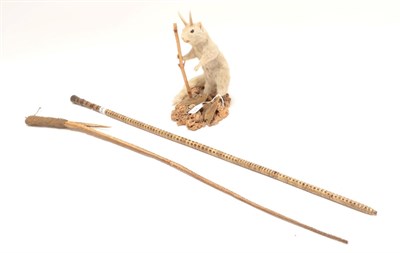 Lot 270 - Taxidermy/Collectibles: A Wolperdinger and Collectibles, a full mount Wolperdinger, mounted as...