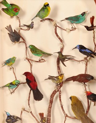 Lot 290 - Taxidermy: A Gothic Revival Oak Framed Firescreen Diorama of Tropical Birds, circa 19th...