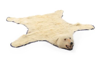 Lot 295 - Taxidermy: Polar Bear (Ursus maritimus),(Ursus maritimus) circa 1960-1970, by Ken Hawkins,...