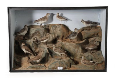 Lot 298 - Taxidermy: A Late Victorian Cased Diorama of Wading Birds, circa 1870-1900, specimens to...