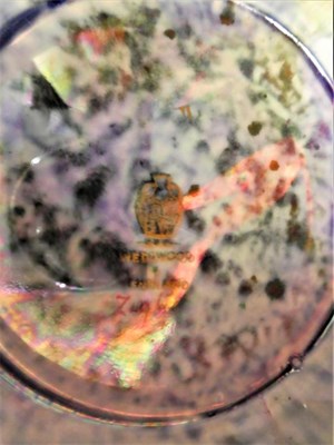 Lot 138 - A Wedgwood Fairyland lustre bowl ''Poplar tree pattern'' (a.f.)