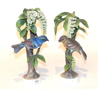 Lot 151 - Two Royal Worcester models of a Lazuli Bunting, Cock and Hen by Dorothy Doughty each dated 1962...