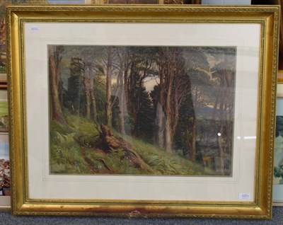 Lot 1071 - Charles Reginald Aston RI (1832-1908), Deer in a verdant woodland, indistinctly signed, watercolour