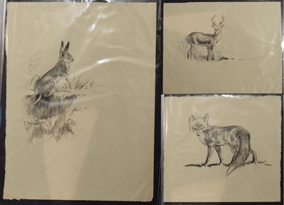 Lot 1129 - Eileen Alice Soper (1905-1990), ''Captive Fox'', inscribed, pencil, together with five further...