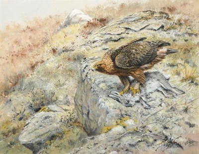 Lot 1035 - George Edward Lodge (1860-1954) Eagle on a Blue Mountain Hare Signed and dated 1949,...