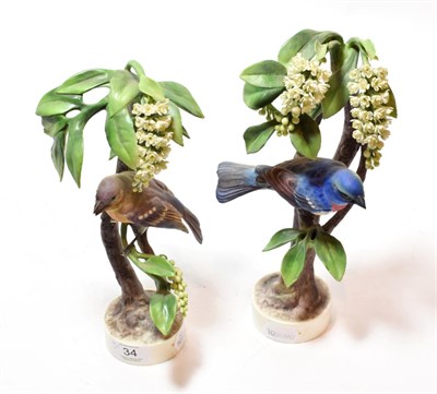 Lot 34 - Two Royal Worcester models, Lazuli Bunting and Cock and Hen, by Dorothy Doughty each dated 1962...
