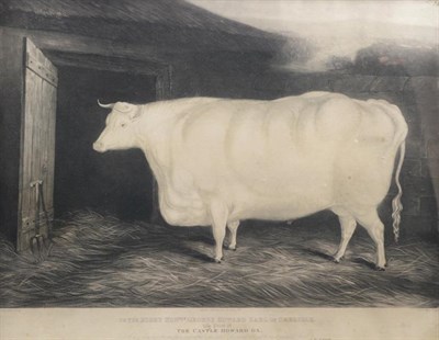 Lot 1024 - After John Wray Snow (1800-1854) ''The Castle Howard Ox'' Mezzotint engraving, 44.5cm by 56.5cm