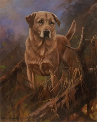 Lot 1148 - John Trickett (b.1953) Golden Labrador Signed, oil on canvas, 50cm by 40cm   Artist's Resale...