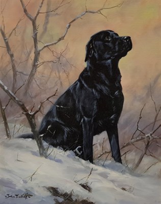 Lot 1150 - John Trickett (b.1953) Black Labrador in the Snow Signed, oil on canvas, 50cm by 40cm...