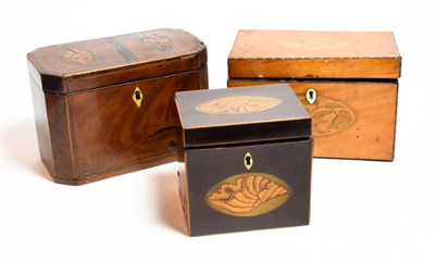 Lot 15 - Three George III mahogany shell inlaid tea caddies