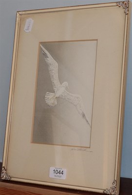 Lot 1044 - Gwen Frostic (20th century) Albatross, pencil signed to mount, linocut, framed and glazed